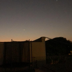 Viéndote