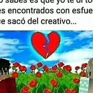 Maincra