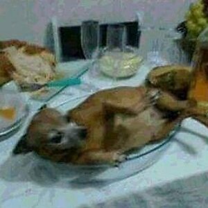Comida china fresca