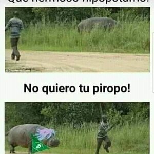 No quiero tu piropo!