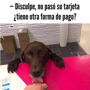 FB_IMG_1609029344004.jpg