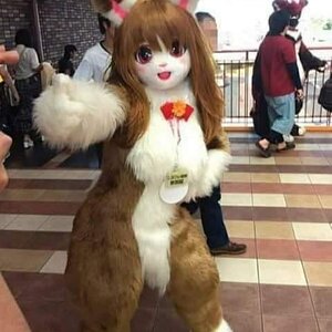 Furra
