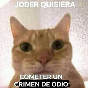 FB_IMG_16107733949662882.jpg