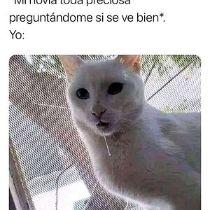 Memes