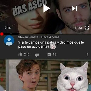 Peluchin meme