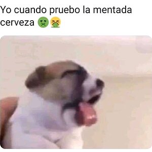 Memes