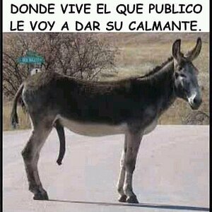 FB_IMG_16082953731300605.jpg