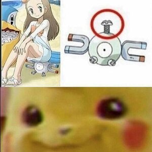pokehueco