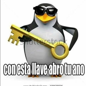 Jjz