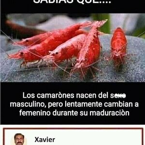 FB_IMG_16165952740110126.jpg
