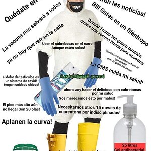 covididiota.jpg