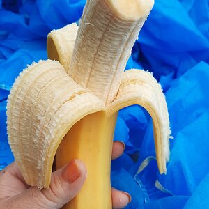 Platanito.jpg