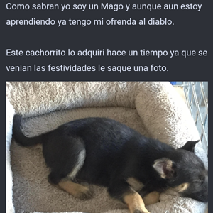 NI IDEA LOCO1.png