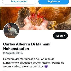 Carlos Di Mamani