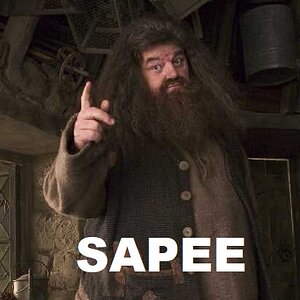sapeee.jpg