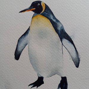 pinguino442.jpg