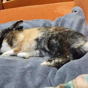 Isabela descansando