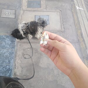 billete en la lavadora