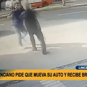 lince