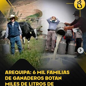 Ganaderos Arequipa