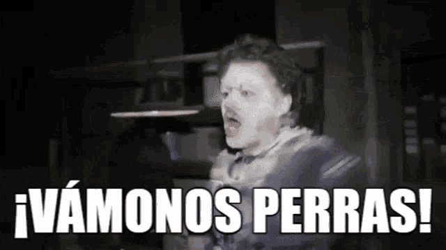 harina-vamonos-perras.gif