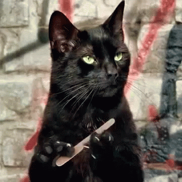 cat-nails.gif