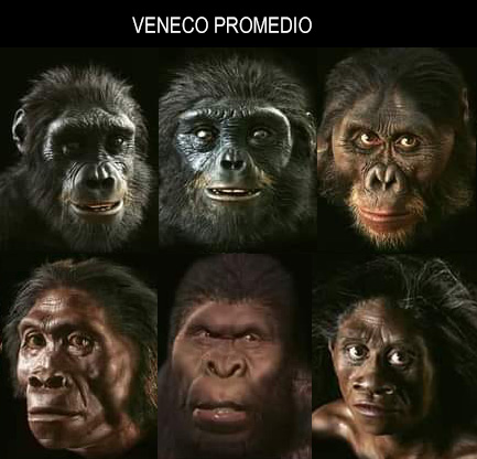 venecossss-jpg.64065