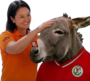 :tranquilocastiburro:
